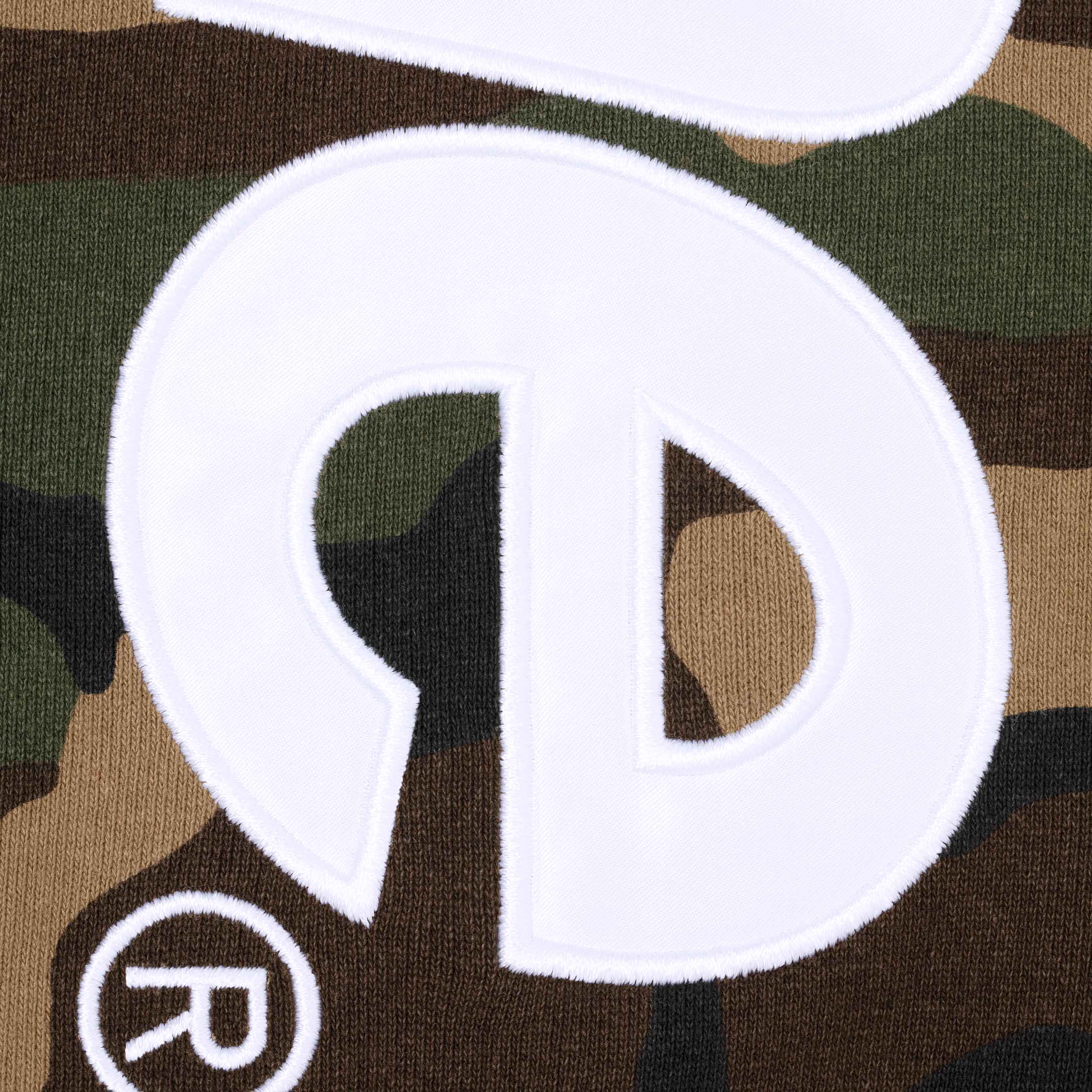 Satin Appliqué Hooded Sweatshirt view 5